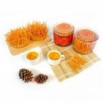 Đông Trùng Hạ Thảo Tươi