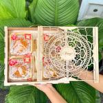 Hộp Bánh Trung Thu Đông Trùng Hạ Thảo Fungi Trăng Vàng