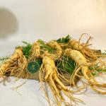 Nhân Sâm Hàn Quốc 6 củ/ kg