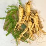 Nhân Sâm Hàn Quốc 4 củ/ kg