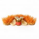 Yến Sào Đông Trùng Hạ Thảo Fungi 70ml
